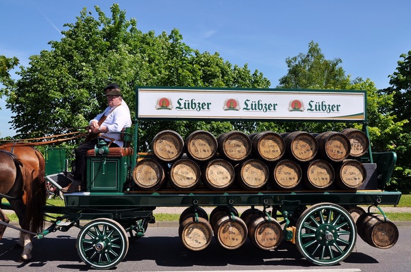 Schwerin Festumzug   070.jpg
